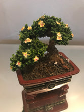 Load image into Gallery viewer, Boyds, Treasure Boxes