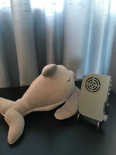 Load image into Gallery viewer, Cloud b, Dozy Dolphin