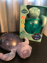 Load image into Gallery viewer, Cloud b, Tranquil Turtle,