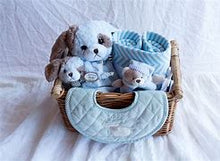 Load image into Gallery viewer, Bearington Baby, Burp Pad