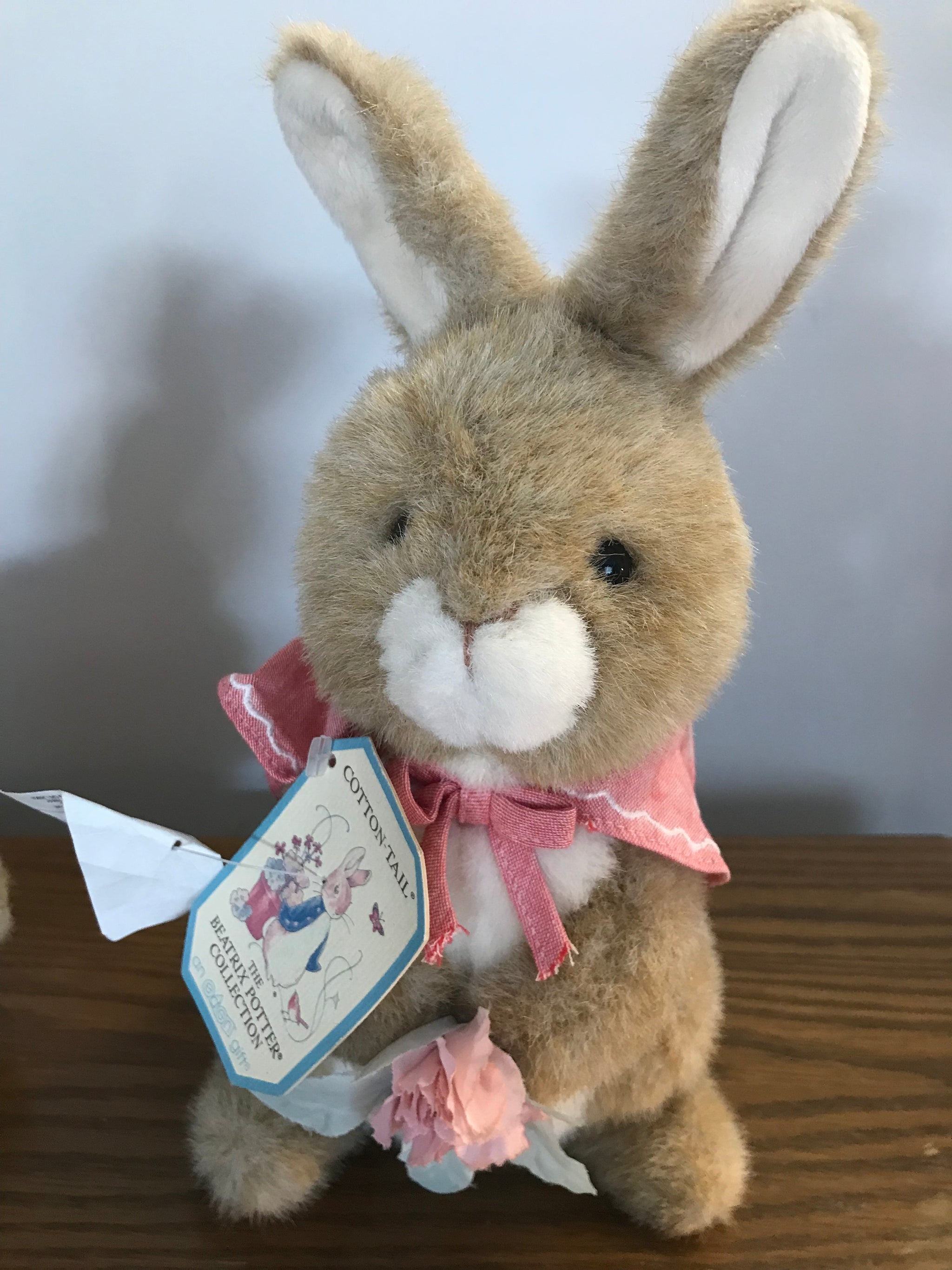 ピーターラビット◆希少【Plopsy, Mopsy & Cotton-Tail】 Beatrix Potter, Vintage, Flopsy, Mopsy and Cottontail – Dens and