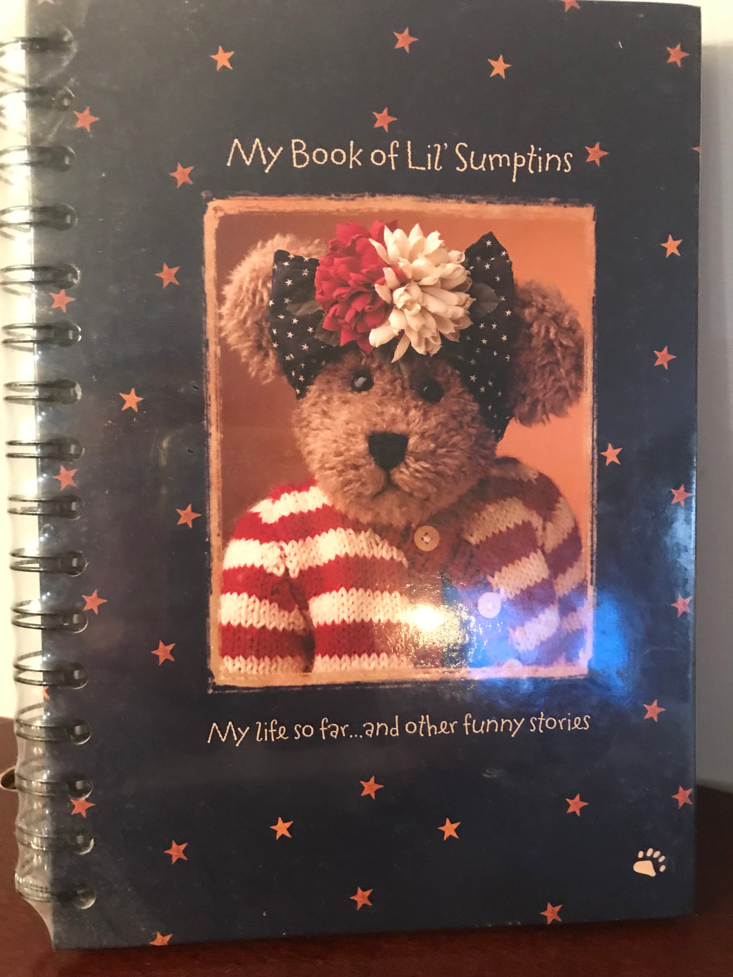 Boyds Bear, Journal, My Book of Lil Sumptins, Photo Album, Stickers