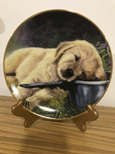 Load image into Gallery viewer, Collector Plates, Dog
