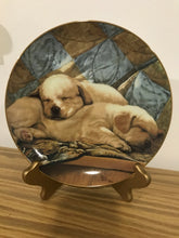 Load image into Gallery viewer, Collector Plates, Dog
