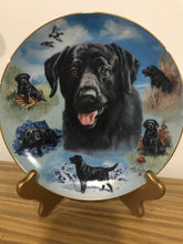 Load image into Gallery viewer, Collector Plates, Dog
