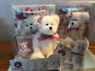 Boyds Bear, Plush, Gift Bag, Magnet