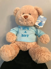 Load image into Gallery viewer, Gund, Its a Boy? Its a Girl
